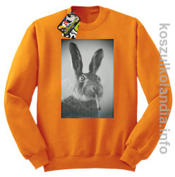 Zając z cygaretem - Bluza standard bez kaptura pomarańczowa 