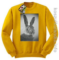 Zając z cygaretem - Bluza standard bez kaptura żółta 