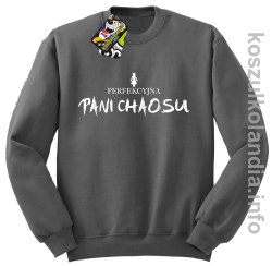 Perfekcyjna PANI CHAOSU - bluza bez kaptura - szary