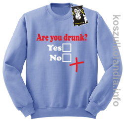 Are you drunk - bluza na imprezę bez kaptura błękitna
