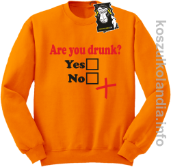 Are you drunk - bluza na imprezę bez kaptura pomarańczowa