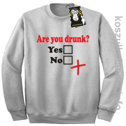 Are you drunk - bluza na imprezę bez kaptura melanż