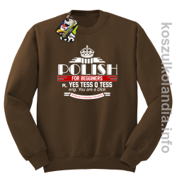 Polish for begginers Yes Tess Q Tess - Bluza męska standard bez kaptura brąz 