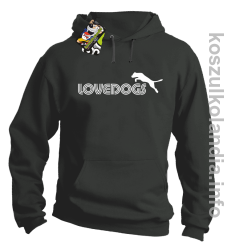 LoveDogs - Bluza męska z kapturem szara 